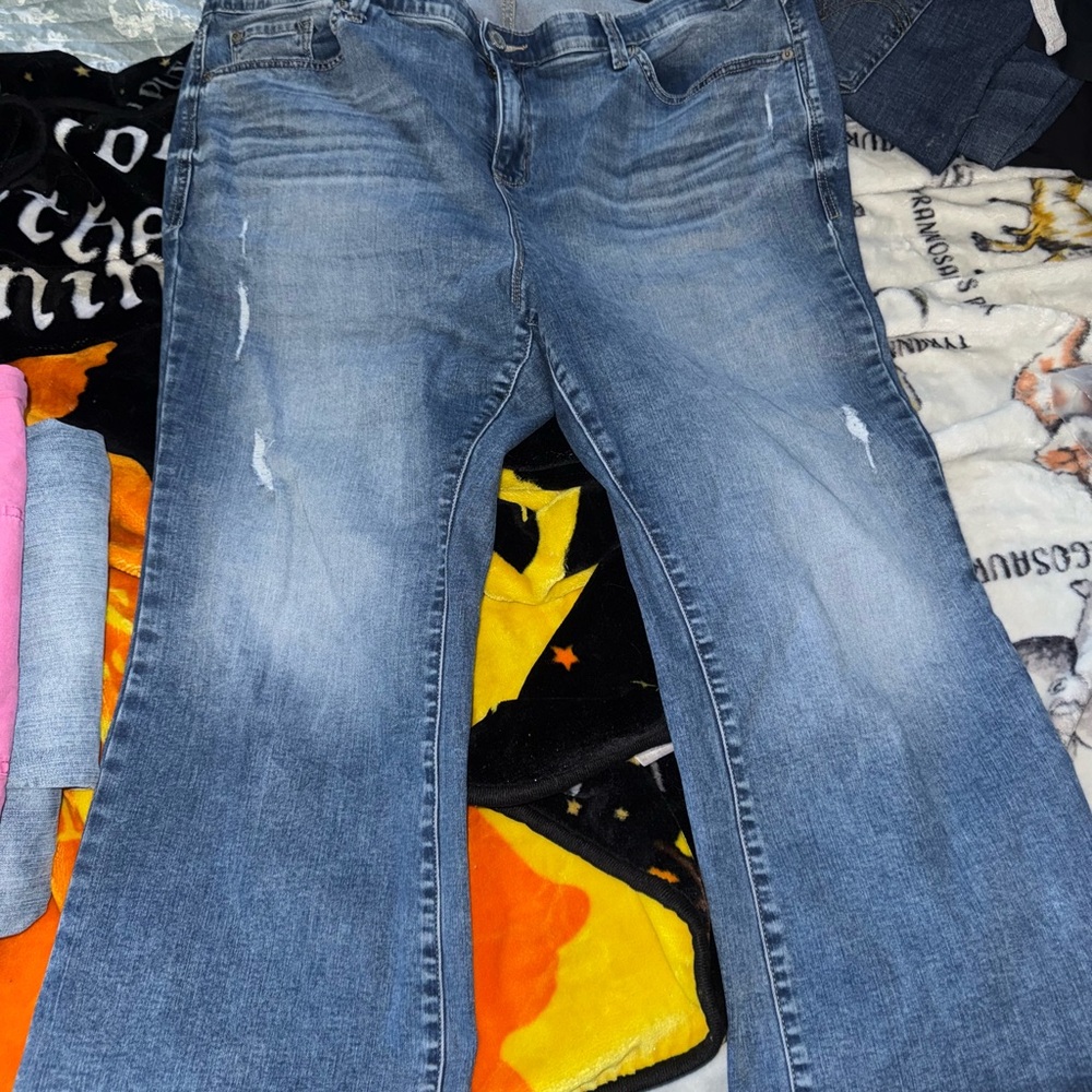 Torrid Blue Flare Women's Jeans